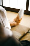 [Cosplay] (CH25) [Choukyou Mazo] Moka Fukuda 福田もか ぼくのもとにとつぜん、どんぎつねが舞い降りた。