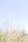 FRIDAYデジタル写真集  白濱美兎 ぎゅってして ｖｏｌ．１(2024-01-19)