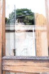[Graphis] 2018-08-31 Rika Narumiya 成宮りか 『 Refresh Girl 』(120P+4vid)