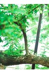 [Photobook] 2023.12.01 白濱美兎「鳥取が生んだ超逸材！」【ヤングチャンピオンデジグラ】