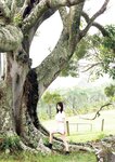 [Photobook] 2025.03.19 電子版だけの特典カットつき 菊地姫奈写真集 ｍｅｍｏｒｙ