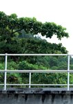 [Photobook] 2025.08.27 【電子版だけの特典カットつき】葉月くれあ　１ｓｔ写真集　ｃｌａｒｕｓ