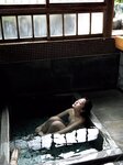 [Photobook] Hitomi Wada 和田瞳写 『Ｓｅｉｒｅｎ』 (2020.09.23)