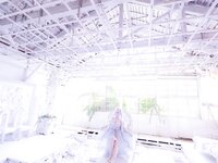 [Cosplay][Shooting Star's] Saku サク - Cinderella