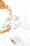 [Cosplay][Shooting Star's] Saku サク - Cinderella