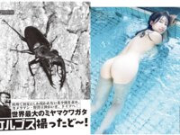 [FLASH] 2025.07.22 No.1780 皆藤愛子 福田ルミカ 澄田綾乃 百田汐里 中野愛理 木村愛心