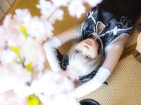 [Cosplay] Fengmaoss 疯猫ss - Sora Black Qipao 穹妹旗袍黑