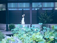 [Cosplay] Shika小鹿鹿 - 新中式