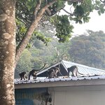 Auddk_77 (명아) - 명아는 오또케