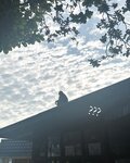 Auddk_77 (명아) - 명아는 오또케