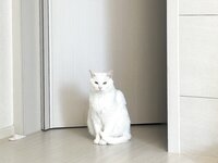 Auddk_77 (명아) - 명아는 오또케