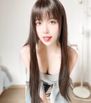 布丁大法 – Perohub 2025年08月