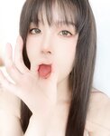 布丁大法 – Perohub 2025年08月