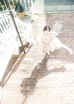 [Photobook] 2025.08.14 岸みゆ「ちっちゃくないもん。」 DOLCEデジタル写真集