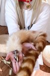 [Cosplay] 阿薰kaOri 黄豆粉 40猫 [212P3V-7.16GB]