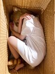 [Cosplay] 阿薰kaOri 黄豆粉 40猫 [212P3V-7.16GB]