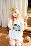 [Cosplay] 阿薰kaOri 黄豆粉 40猫 [212P3V-7.16GB]