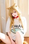 [Cosplay] 阿薰kaOri 黄豆粉 40猫 [212P3V-7.16GB]