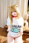 [Cosplay] 阿薰kaOri 黄豆粉 40猫 [212P3V-7.16GB]