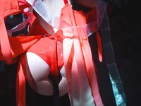 [Cosplay] 桜桃喵 楪祈