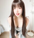 [Perohub] 布丁大法 - 2025年8月