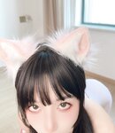 [Perohub] 布丁大法 - 2025年8月