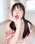 [Perohub] 布丁大法 - 2025年8月