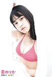 [Young Animal] 2019 No.04 (星ゆりか 櫻井まい)