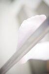 [Cosplay] 胡桃猫Kurumineko - 电车痴女