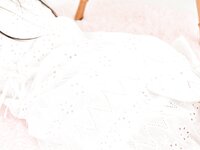 [Lovepop] Yoshino Chitose ちとせよしの - GL0113  Photoset 001 - 004