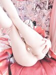 [Cosplay] Xi Daidai 习呆呆 - Camellia 椿