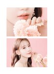 [Photobook] Sakura Miyawaki 宮脇 咲良 - Graduation Visual Booklet