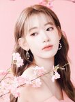 [Photobook] Sakura Miyawaki 宮脇 咲良 - Graduation Visual Booklet