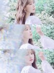 [Photobook] Sakura Miyawaki 宮脇 咲良 - Graduation Visual Booklet