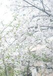 BUBKAデジタル写真集 2025.06.20 北野瑠華「Mirage」