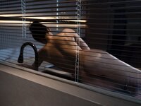 [XR Uncensored] 清妙 - R18 秀人网模特 瑜伽 2