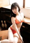 [Young Dragon Age] ドラゴンエイジ2022年7月号増刊 ヤングドラゴンエイジ VOL.11 吉沢朱音 ＆ 小鳥遊るい ＆ 近藤沙瑛子 岸みゆ ＆ 宇咲 水湊みお＆池田メルダ