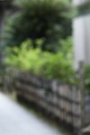 [Photobook] 川崎あや 秘蔵アーカイブ総集編 PREMIUMデジタル写真集