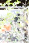 [Photobook] 川崎あや 秘蔵アーカイブ総集編 PREMIUMデジタル写真集