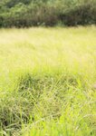 [Photobook] 三上悠亜 1st写真集 「Here you are」