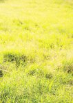 [Photobook] 三上悠亜 1st写真集 「Here you are」