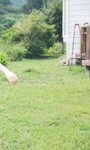 [Photobook] 【デジタル限定】青山なぎさ写真集「お嬢様の夏休み」 週プレ PHOTO BOOK