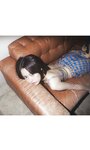 [Weekly Photobook] Makoto Okunaka 奥仲麻琴 - Happy now 今、幸せ。 (2022-10-03)