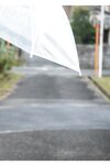 [Photobook] FOR DEAR 藤井レイラ【ヌード写真集】