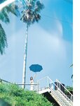 [Photobook] 染野有来ファースト写真集　ユメノソラ