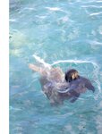 [Photobook] 染野有来ファースト写真集　ユメノソラ