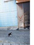 [Photobook] 染野有来ファースト写真集　ユメノソラ
