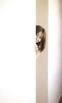 [Photobook] 【デジタル限定】芳賀優里亜写真集「最高のヒロイン」 週プレ PHOTO BOOK