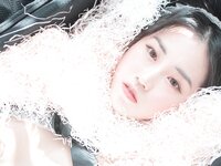 [PhotoChips] Vol.109 - Dami No.13 Bcut [118P355MB