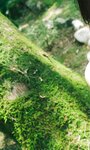 [Photobook] 【デジタル限定】小山璃奈写真集「紅い花」 週プレ PHOTO BOOK